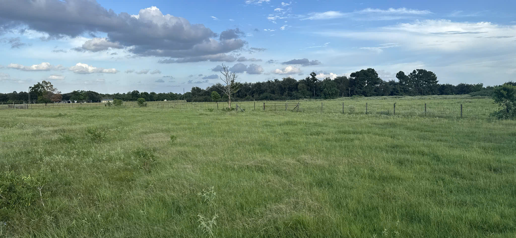 Lãi suất hoàn vốn đầu tư EB-5