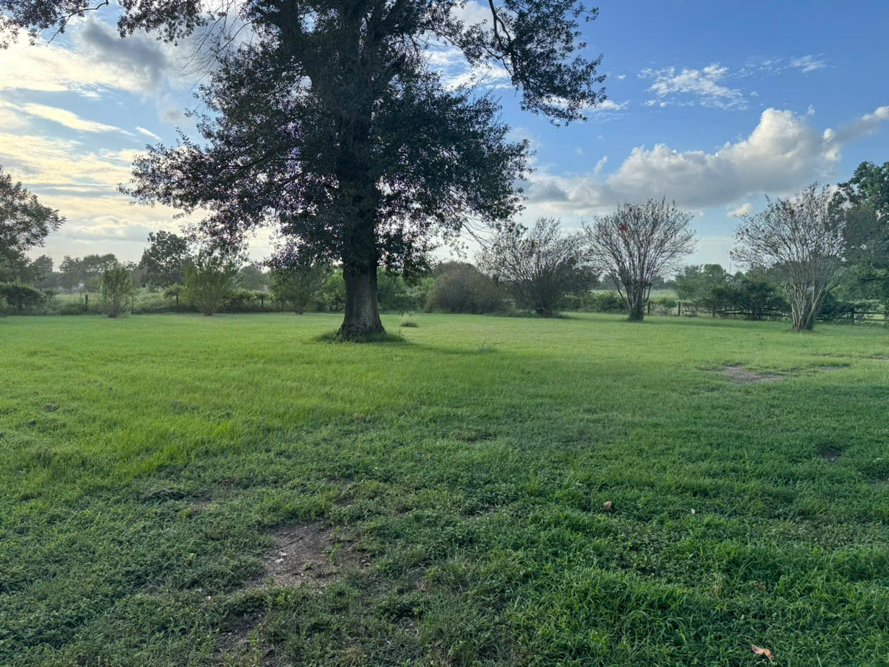 Chiến lược cam kết hoàn vốn dự án Emmaus Village cho nhà đầu tư